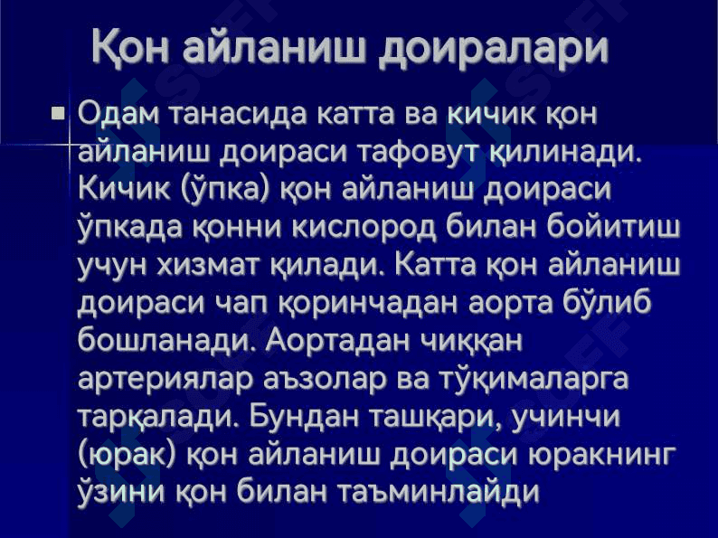 Юрак, қон айланиш доиралари, юракнинг ёшга қараб ўзгариши 8