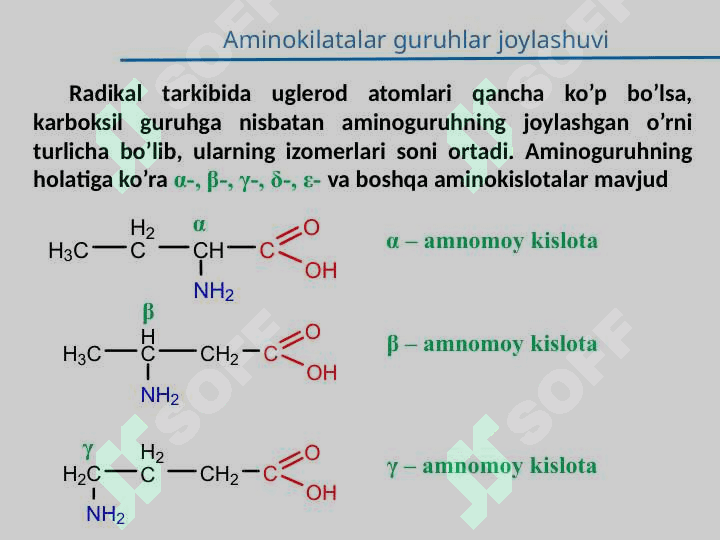 α-Aminokislotalar. Peptidlar va oqsillar, Nuklein kislotalar tuzilishi va funksiyalari. 3