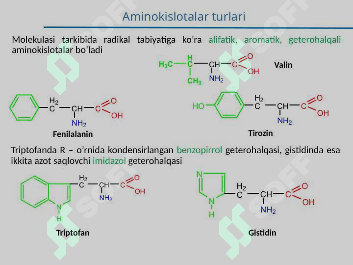 α-Aminokislotalar. Peptidlar va oqsillar, Nuklein kislotalar tuzilishi va funksiyalari. 5