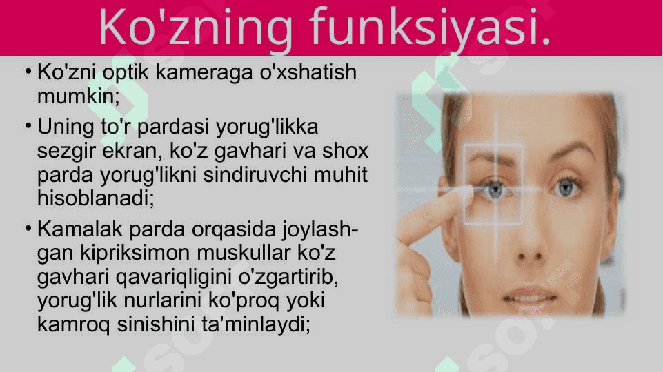 Ko’z funksiyalar 2