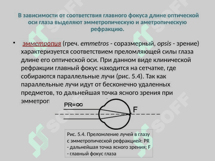 Физическая и клиническая рефракции. Аккомодация. Пресбиопия. Астигматизм. Назначение очков 6