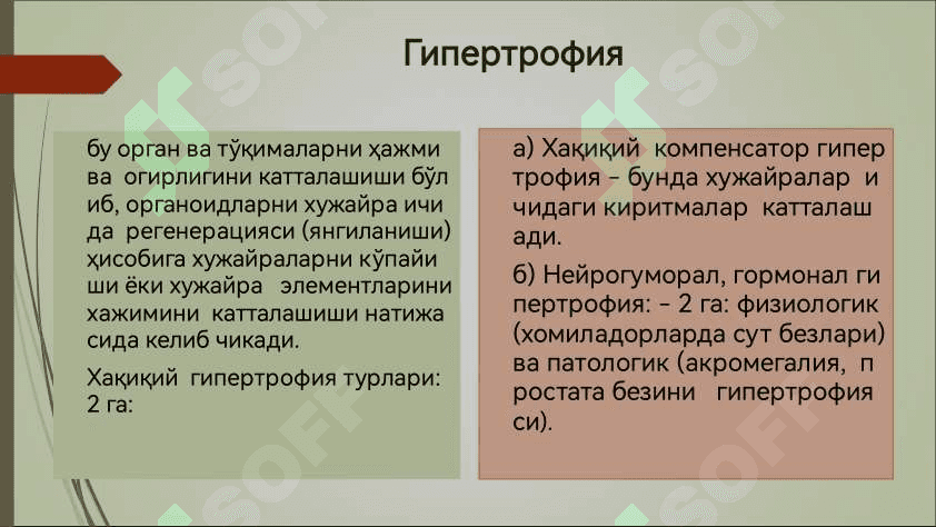 Усма хужайраларини келиб чикишидаги ахамияти 3