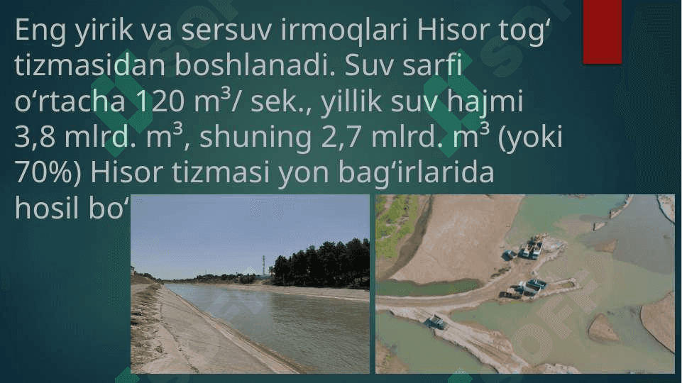 Surxondaryo suv havzalarida tarqalgan karplar oilasining vakillari 4