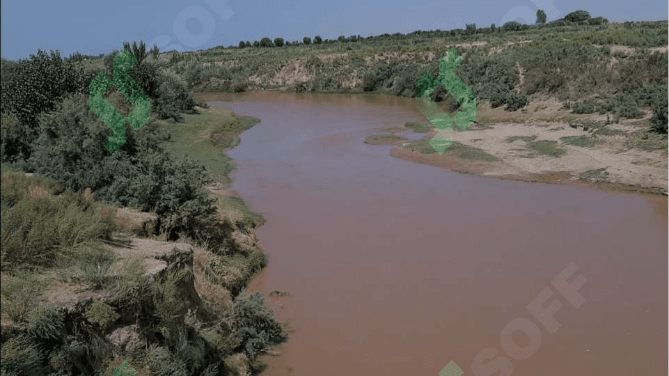 Surxondaryo suv havzalarida tarqalgan karplar oilasining vakillari 7