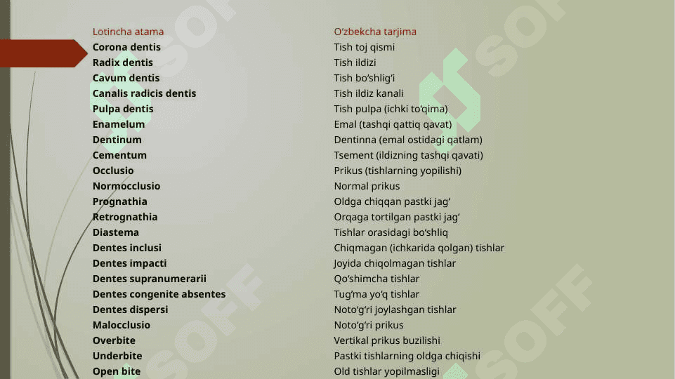 Glossariy anatomiya fanidan ichki organlarga 2