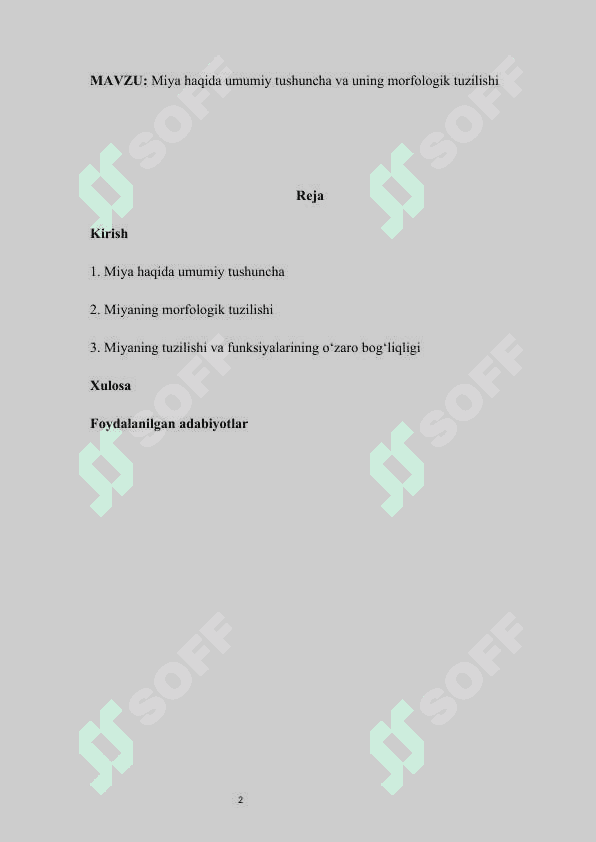 Miya haqida umumiy tushuncha va uning morfologik tuzilishi mustaqil ish 2