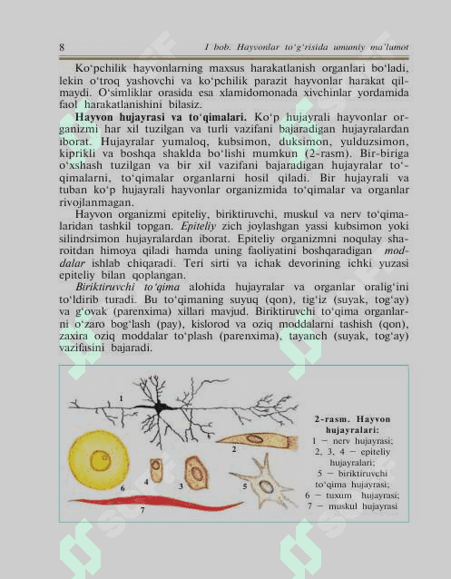 7-sinf Biologiya 8