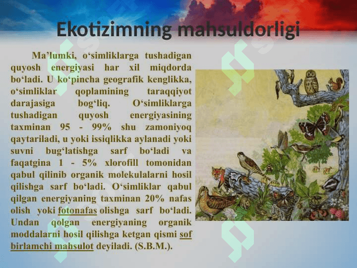 Ekotizim 6