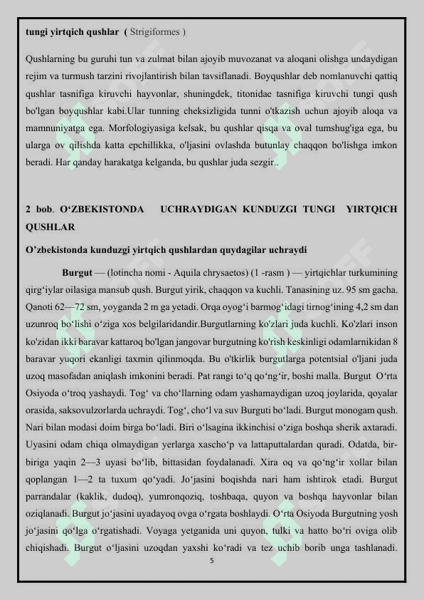 Yirtqich qushlar 5