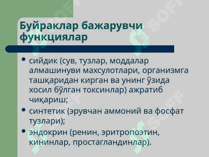Буйраклар патофизиологияси 2