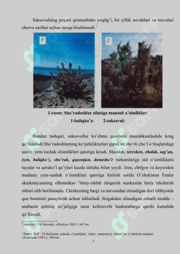 SHO’RADOSHLAR OILASI.docx 6