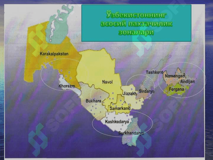 Кузги шудгор. Ҳайдалма қатлам қалинлигини ошириш усуллари 6