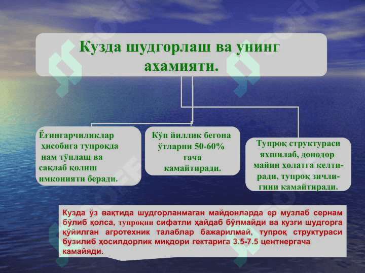 Кузги шудгор. Ҳайдалма қатлам қалинлигини ошириш усуллари 8