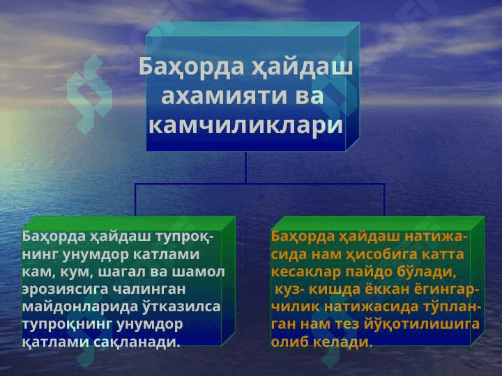 Баҳорги ҳайдов. Бедапоя ва анғизни ҳайдаш 3
