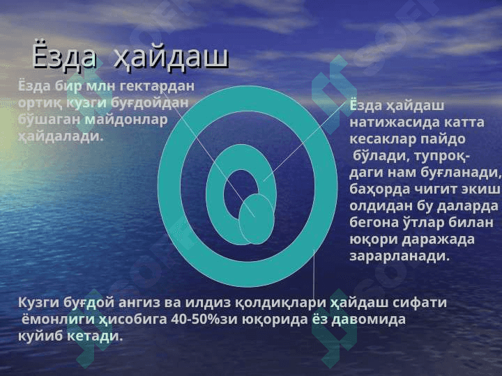 Баҳорги ҳайдов. Бедапоя ва анғизни ҳайдаш 4