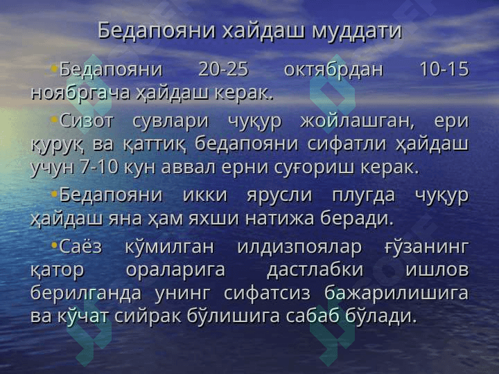 Баҳорги ҳайдов. Бедапоя ва анғизни ҳайдаш 8