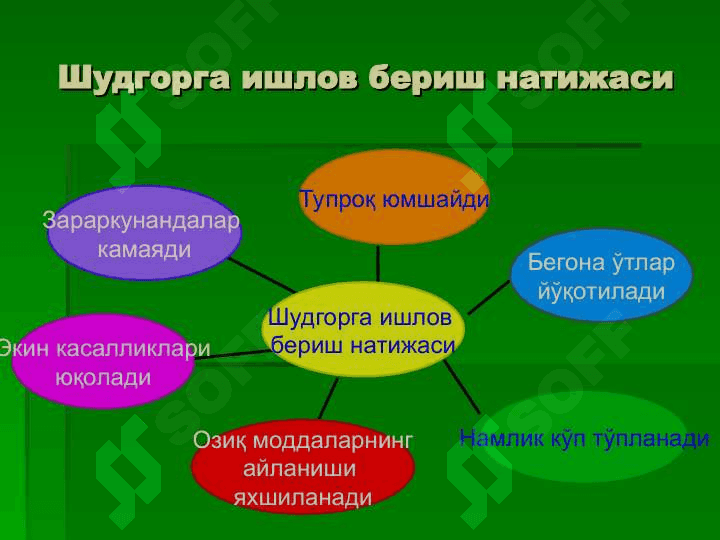 Шудгор ва унинг турлари.  Ерни ишлаш сонини минималлаштириш 4