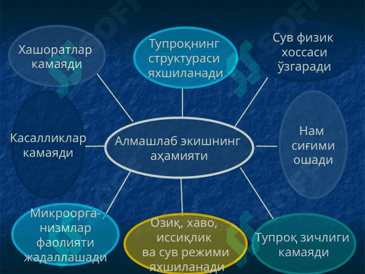 Алмашлаб экиш 5