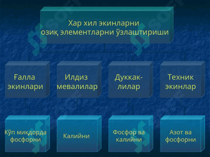 Алмашлаб экиш 8