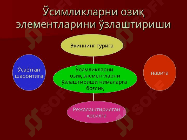 ТУПРОҚНИНГ ОЗИҚ  РЕЖИМИ ВА УНИ БОШҚАРИШ УСУЛЛАРИ 4