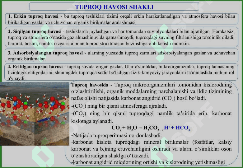 O‘SIMLIKLAR OZIQLANISHIDA TUPROQ TARKIBINING AHAMIYATI VA SINGDIRISH QOBILIYATLARINI O‘RNI. 4