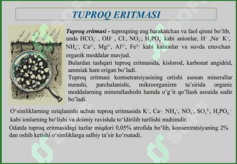 O‘SIMLIKLAR OZIQLANISHIDA TUPROQ TARKIBINING AHAMIYATI VA SINGDIRISH QOBILIYATLARINI O‘RNI. 7