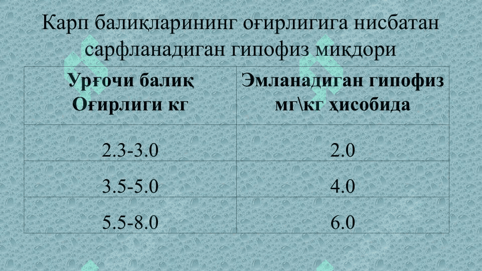 БАЛИҚЛАРНИ СУНЪИЙ УРЧИТИШ УСУЛЛАРИ 5