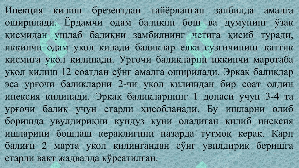БАЛИҚЛАРНИ СУНЪИЙ УРЧИТИШ УСУЛЛАРИ 7