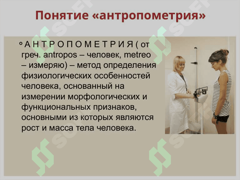 Антропометрия. 3