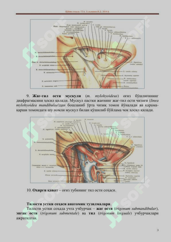 Til osti sohasi 3