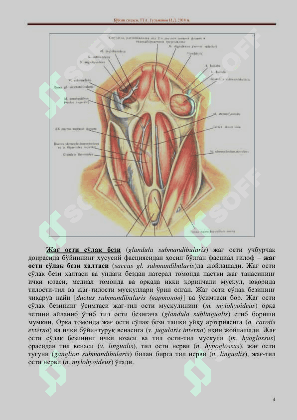 Til osti sohasi 4