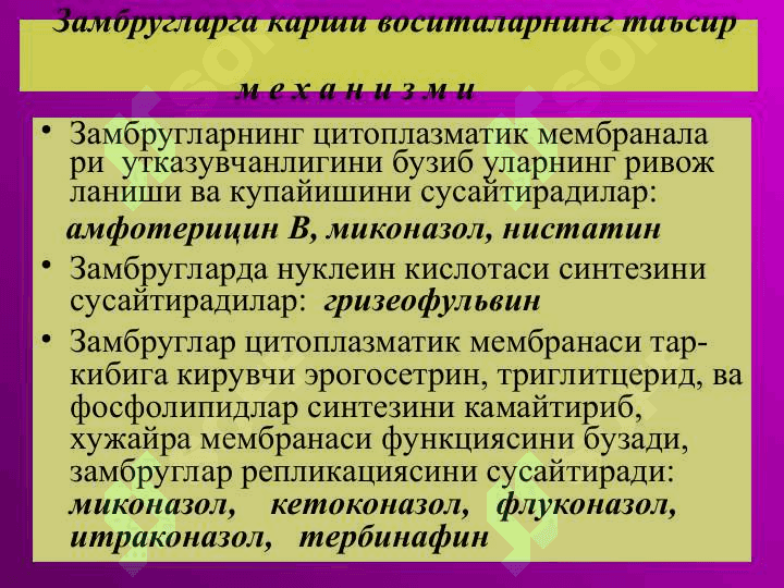 Замбругларга карши воситалар 4