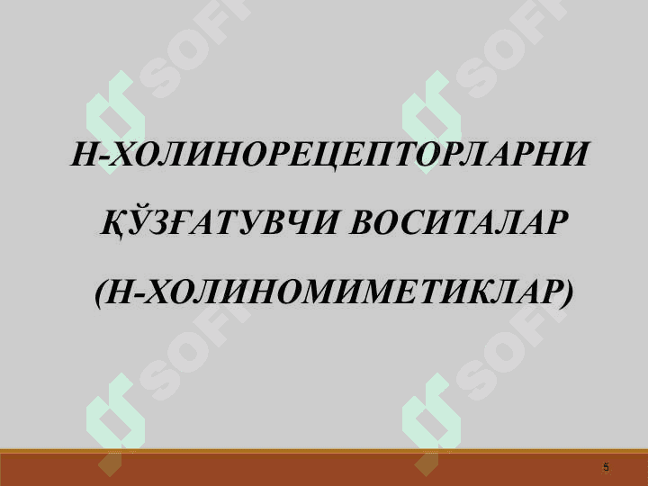 Н-ХОЛИНОРЕЦЕП- ТОРЛАРГА  ТАЪСИР  ЭТУВЧИ ВОСИТАЛАР 5