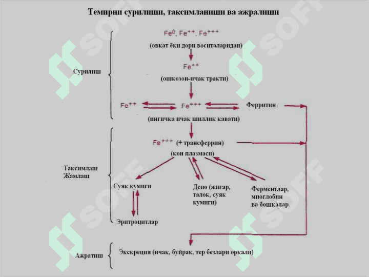 Темир етишмаслиги туфайли ривожланадиган анемияни даволаш воситалари 2