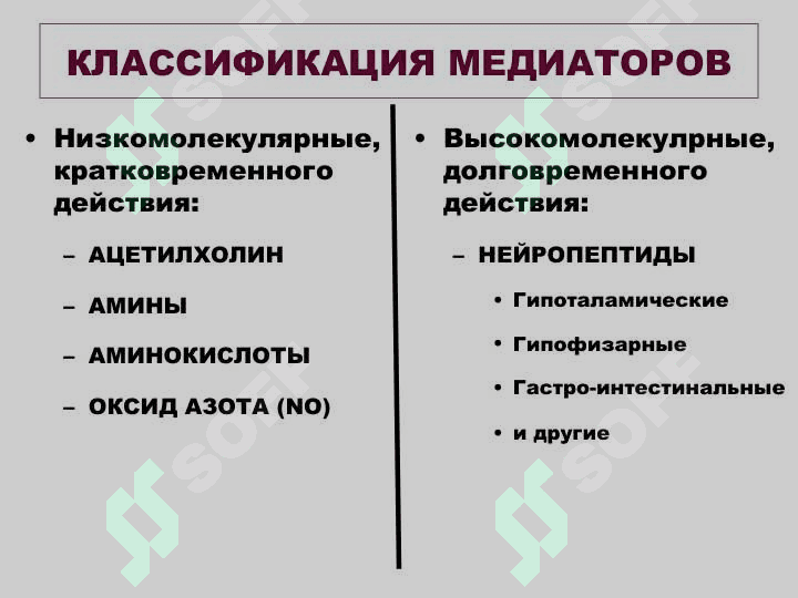 НЕЙРОМЕДИАТОРЫ 2