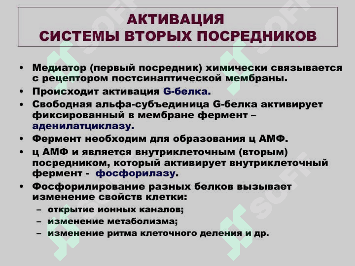 НЕЙРОМЕДИАТОРЫ 5