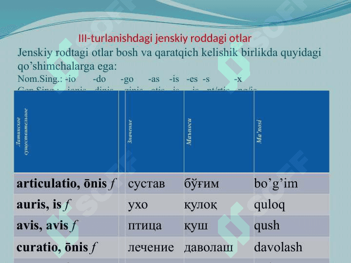 III-turlanishdagi jenskiy roddagi otlar 2