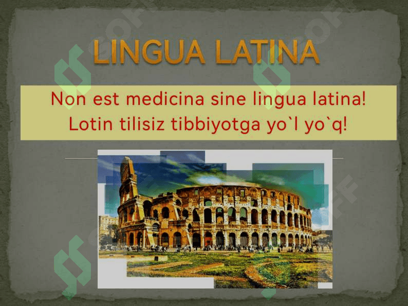 LINGUA LATINA 2