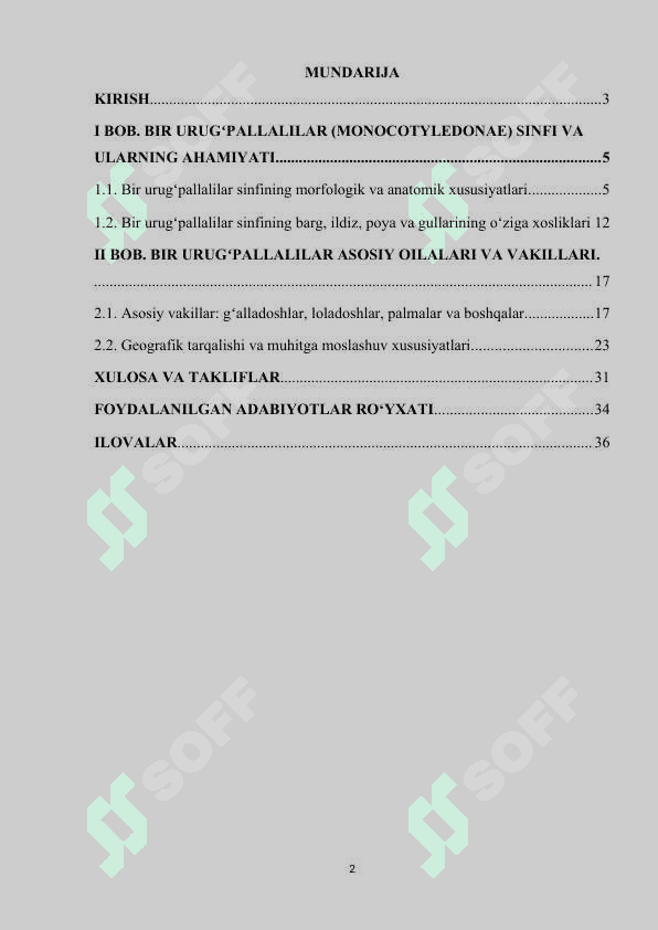 BIR URUGʻPALLALILAR SINFI. ASOSIY VAKILLARI. AHAMIYATI 2