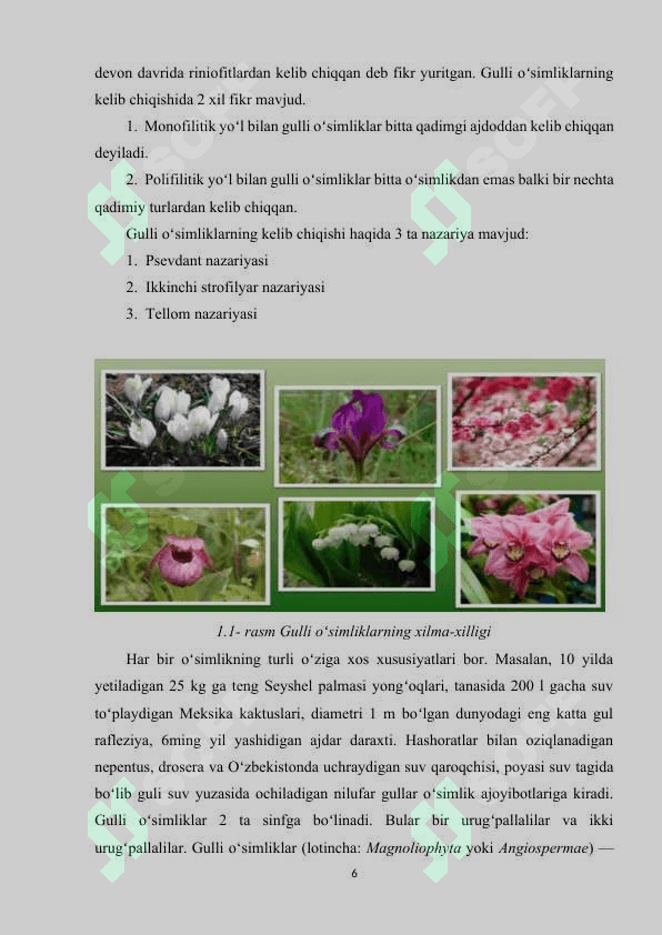 Gulli o'simliklarning xilma xilligi va tarqalishi 6