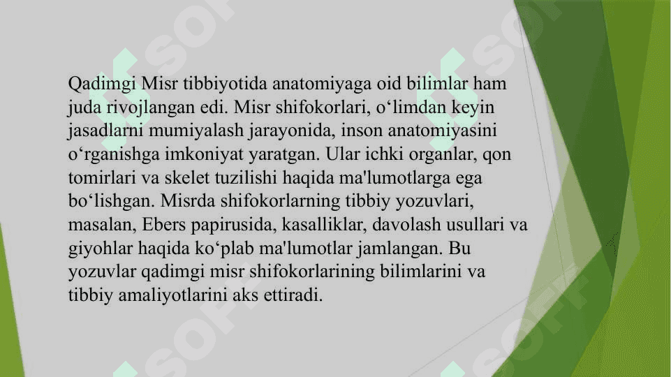 Qadimgi sivilizatsiya 5