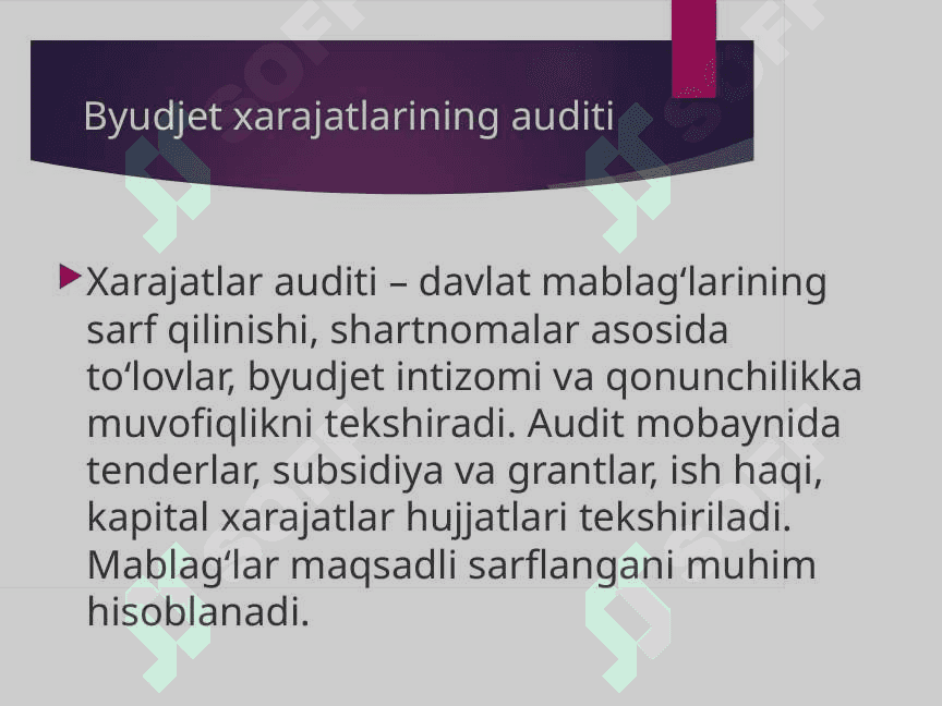 Byudjet bilan hisob-kitoblar auditi 8