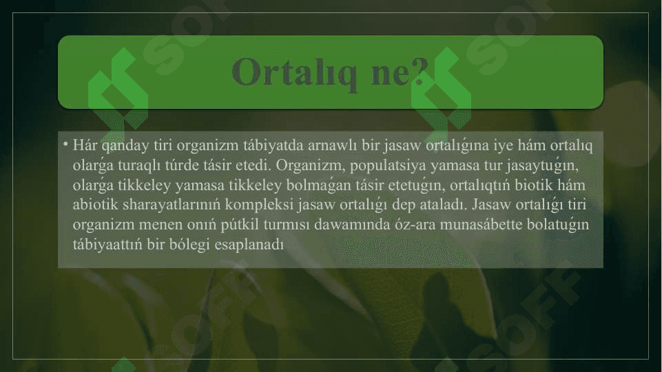 Organizmge ortaliq faktorlardin tasiri 2