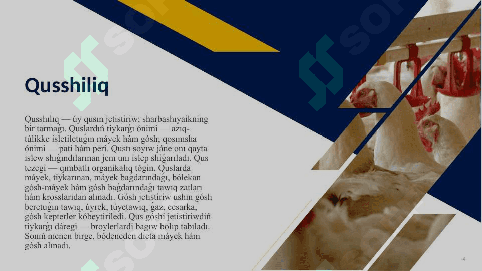 QUSSHILIQ EKONOMIKASI || Qushchilik 4