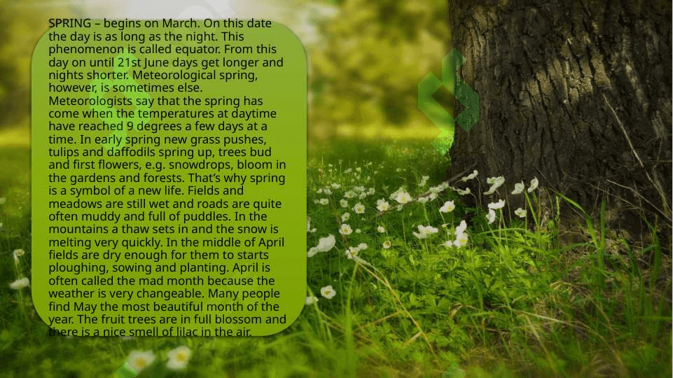 Seasons and the weather 3