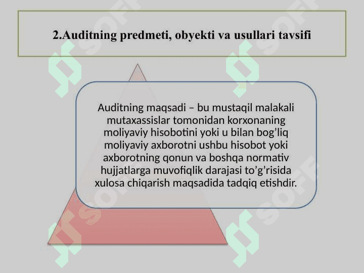 Auditning mohiyati, zarurligi va ahamiyati 8