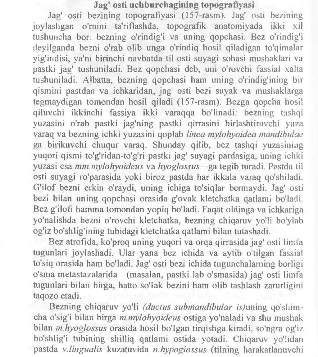 Jag'-osti uchburchagining topografiyasi