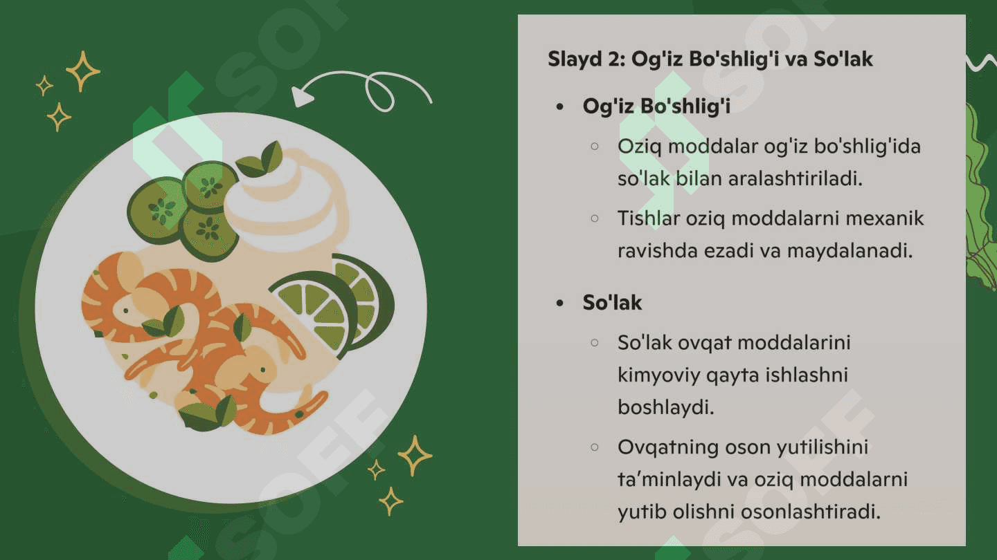 Ovqat hazm qilish sistemasi 3