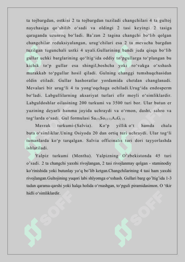 YALPIZNAMOLAR QABILASI 5