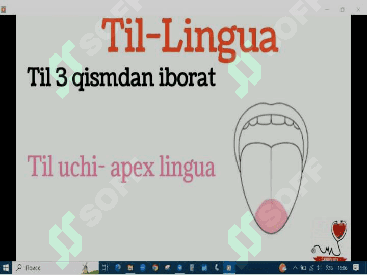 Tilning funksiyalari 2